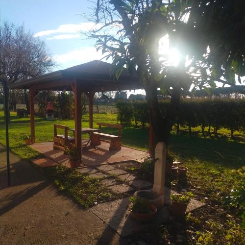 比比翁Mimoza Camper的公园里树的野餐棚