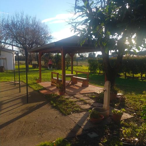 比比翁Mimoza Camper的公园里带长椅和树的野餐棚