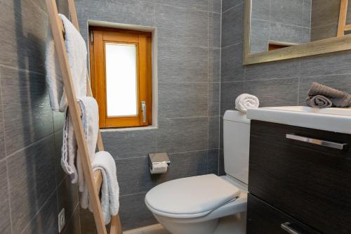 SonognoVerzasca Lodge Elma的一间带卫生间、水槽和窗户的浴室