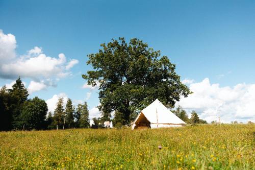 埃克舍Glamping in Småland的田野上大白帐篷,有树