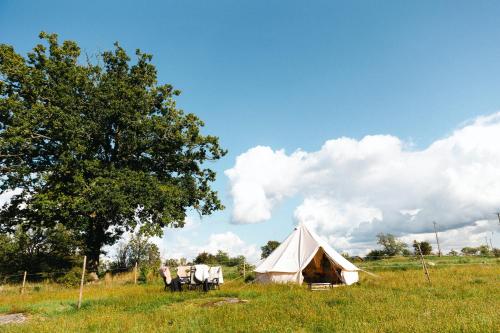 埃克舍Glamping in Småland的绿地中的白色帐篷,有树