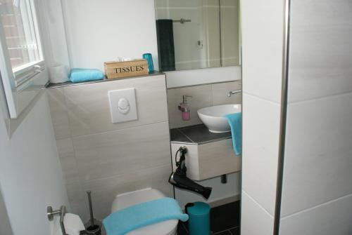 于斯德Strandhaus Rose Apartement 14的一间带卫生间和水槽的小浴室