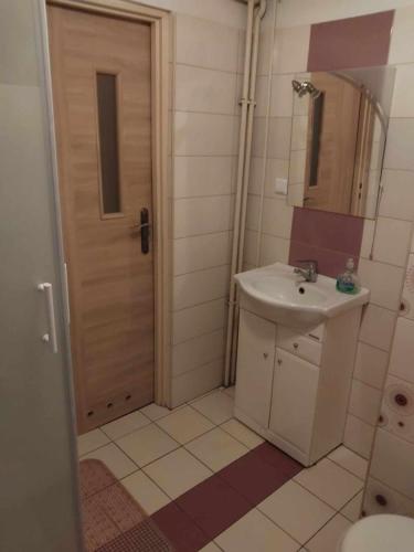 扎莫希奇Morfeusz的一间带水槽、卫生间和门的浴室