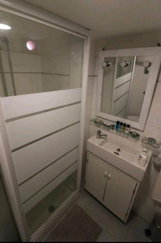 梅塔casettazara的带淋浴、盥洗盆和镜子的浴室
