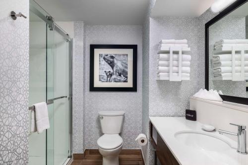 州学院威廉斯堡广场州学院汉普顿套房酒店的浴室配有卫生间、盥洗盆和淋浴。