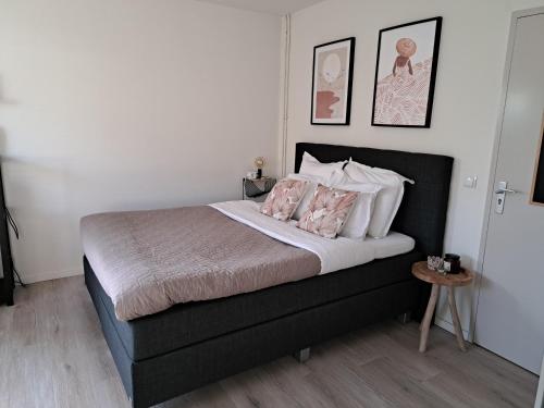 米德尔堡Stad & Strand Studio的一间卧室配有一张带两个粉红色枕头的黑色床。