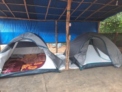 马迪凯里Coorg Derala Camping Tent House的两顶帐篷位于蓝色帐篷下
