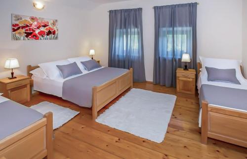 ZmijavciVilla Ognjistar in the hinterland of Makarska Riviera的一间卧室设有两张床和两个窗户。