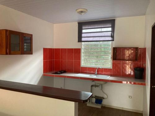 OiapoqueHotel La Villa Morena的厨房铺有红色瓷砖,设有水槽和窗户。