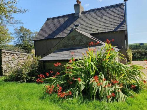 阿沃卡Knockanree Cottage-Quiet, tranquil country hideaway的一座鲜花盛开的老房子
