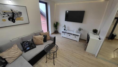 扎维尔切Aparthotel Riva的带沙发和平面电视的客厅