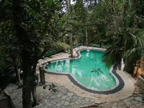 哈巴拉杜瓦Shadow lake villa的森林中央的游泳池