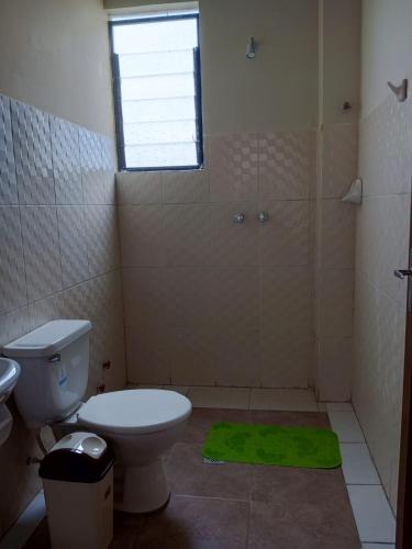 塔里哈hospedaje, independiente aranjuez的一间带卫生间和淋浴及窗户的浴室