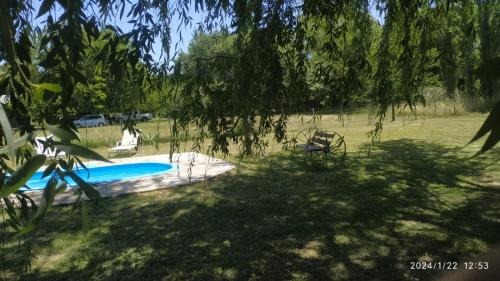阿雷科河畔卡门Casa De Campo El Corral的一座位于庭院的游泳池,树顶上