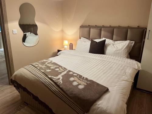马夫罗沃Adora's Apartment Mavrovo的卧室配有一张带白色床单和枕头的大床。