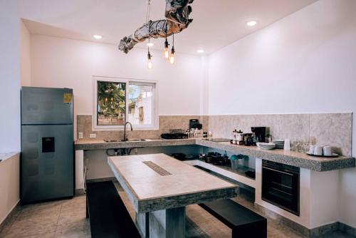 比亚米尔港Yellow Heron House的厨房配有台面和冰箱