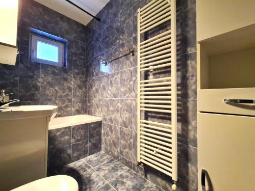 锡比乌Apartament Giulio的带淋浴、卫生间和盥洗盆的浴室