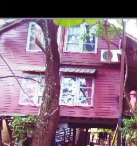 阿蒂加斯Cabaña dos pisos的前面有一棵树的粉红色房子