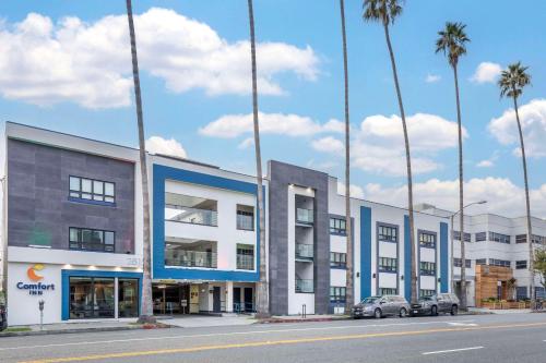 洛杉矶圣莫尼卡-西洛杉矶康福特茵酒店的一条棕榈树街道上的一排建筑物
