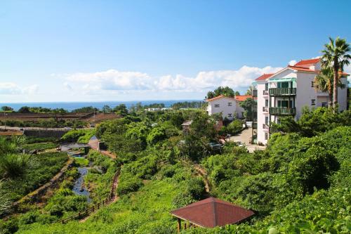 西归浦市Seogwipo Beautiful Resort的享有河流和建筑的城镇景色