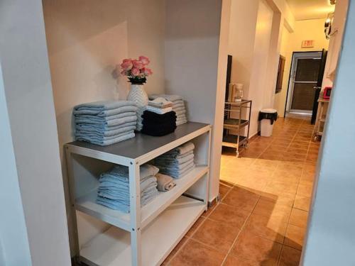 马亚圭斯Newly remodeled 3 BR Center Mayagüez, First Floor Unit1的衣柜,带毛巾的架子和花瓶