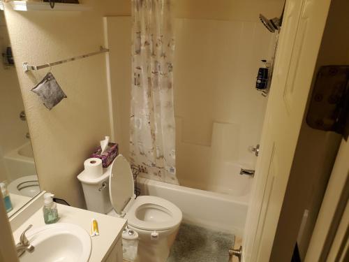 博尔德城Not Vegas, But Close Enough的浴室配有卫生间、盥洗盆和浴缸。
