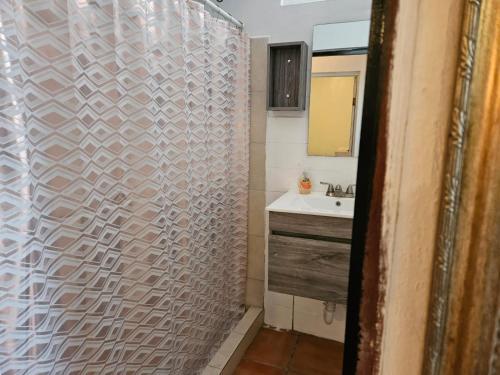 马亚圭斯Newly remodeled Economical 5BR, Third floor的浴室配有淋浴帘和盥洗盆。