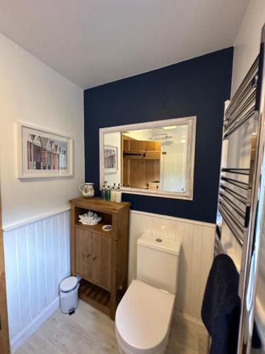 安斯特拉瑟Coastal Cottage - Cellardyke Anstruther的浴室设有白色的卫生间和镜子