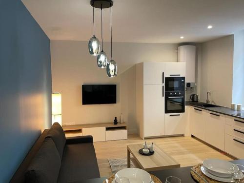 里昂Appartement pour 1à2 personnes#2的带沙发的客厅和厨房