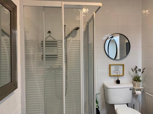 邓加文Follies Suites Ballyvoile的带淋浴、卫生间和镜子的浴室