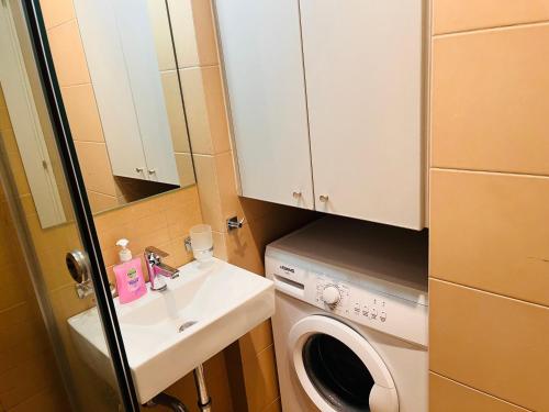 雅典埃尔维塔公寓 的一间带水槽和洗衣机的小浴室