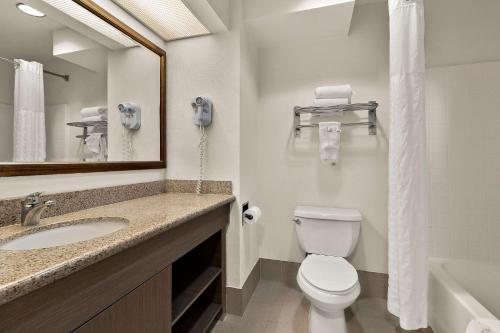 三河城三河城红杉国王峡谷康福特茵套房及酒店的一间带卫生间、水槽和镜子的浴室