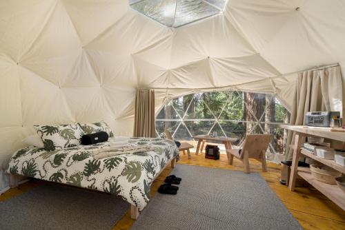 锡谢尔特Stay Wilder Sunshine Coast的帐篷内的一个床位房间