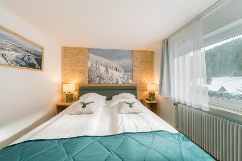 费尔德伯格Black Forest Dream Apartments的一张位于带大窗户的房间内的床铺