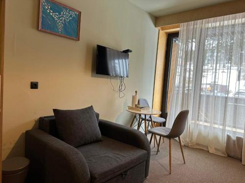 巴库里阿尼Apartment in Rooms Hotel Kokhta, Bakuriani的客厅配有沙发和电视。