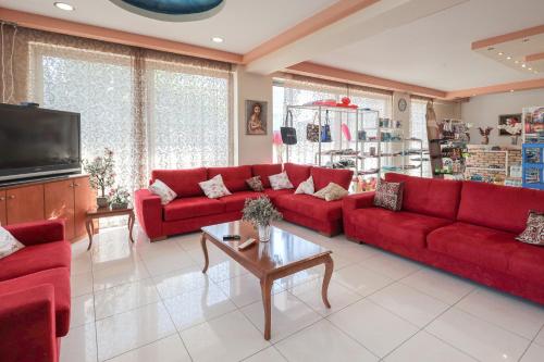 罗德岛卡利地亚Faliraki Dream Apartment 1的客厅配有红色沙发和电视