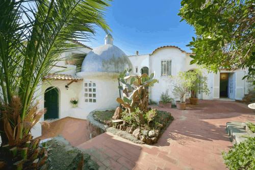 Eremo di Montevergine Ischia Apartments外面的花园