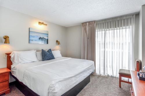 柏斯海滩Cape Suites Room 5 -Free Parking! Hotel Room的一间设有大床和窗户的酒店客房