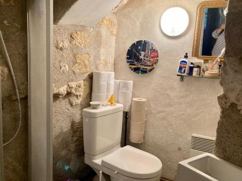 卢瓦尔河畔蒙路易La Maison Bleue de Husseau Ancienne ferme semi-troglodytique 18e siècle的浴室配有白色卫生间和盥洗盆。