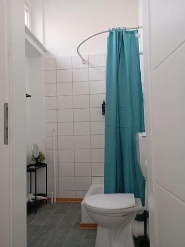 科布伦茨Apartment Koblenz nähe Uni und BWZK的浴室设有卫生间和蓝色的浴帘。