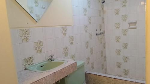 利马Plaza inn的瓷砖墙上带水槽的浴室