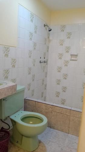 利马Plaza inn的一间带绿色卫生间和淋浴的浴室