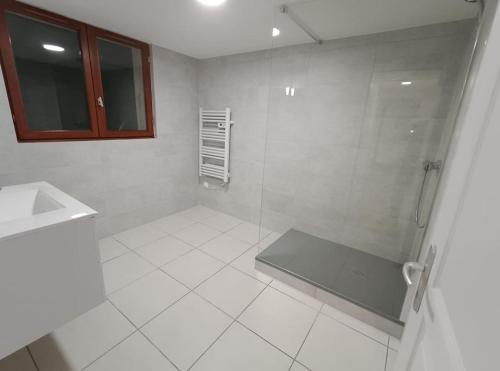 La Chartreuse du Mont Outheran的带淋浴和盥洗盆的白色浴室
