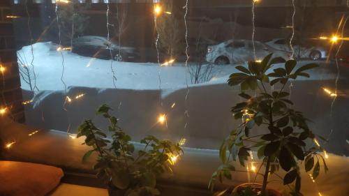 阿斯塔纳Hostel Caps Home的享有带灯光的雪覆盖庭院的景色