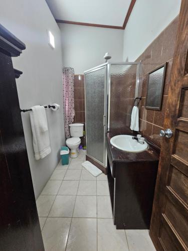 圣伊格纳西奥Cozy Flat in San Ignacio Close to Downtown!的一间带水槽、淋浴和卫生间的浴室