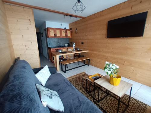 圣米舍德谢洛appartement montagne- le petit Chaillol的客厅配有蓝色的沙发和电视