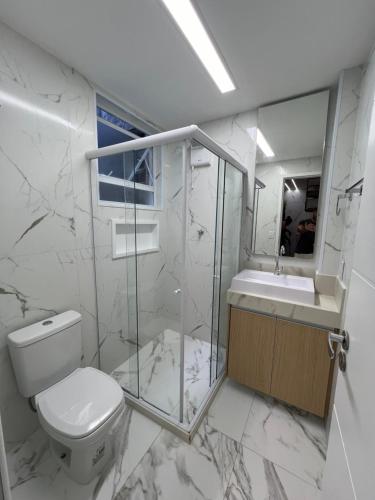 里约热内卢MARAVILHOSO APARTAMENTO NO LEBLON的一间带卫生间、水槽和镜子的浴室