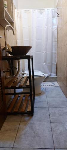 卡塔马卡SUITE A&F Habitación con baño privado的浴室设有卫生间和白色的淋浴帘