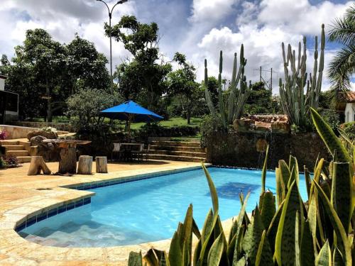 布卡拉曼加Finca Hacienda Casa Prada的蓝色的游泳池,配有蓝色的伞和仙人掌