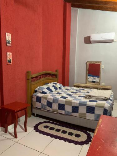 亚松森Bed and Breakfast 879的一间卧室设有一张床和红色的墙壁